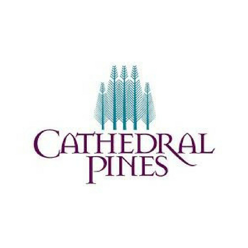 Cathedral Pines
