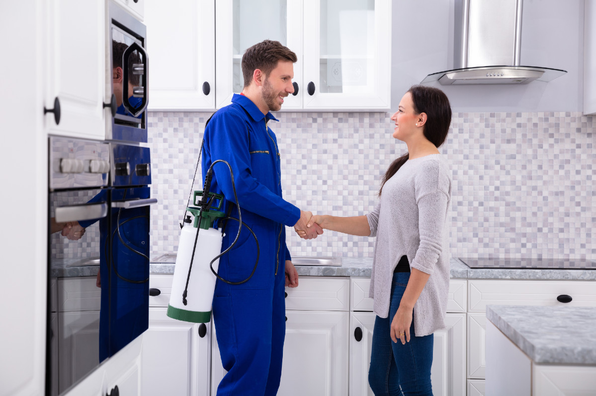 How to Hire an Exterminator in Colorado Springs MugABug