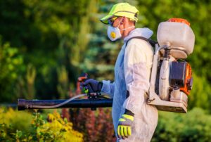local pest control companies in Security Widefield