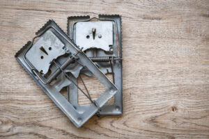 close up of two mouse traps in Security-Widefield, CO. High Country pest control and rodent control