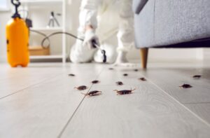 pest control technician spraying for bugs in Stratmoor, CO